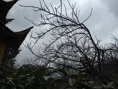 -黄山温泉国际旅游度假区