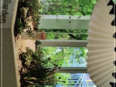 -春树下·树屋花房西餐厅(罍街AS1980店)