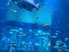 -嘉兴海底世界