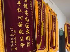 -瑞派长江宠物医院·猫科·外科·24小时夜护(谊城公寓分院)