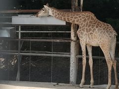 -泉州海丝野生动物世界