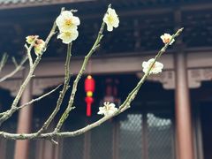 -钱王祠