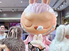 -泡泡玛特POPMART(合生汇店)