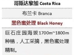 -古耳咖啡(北锣店)