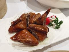 石歧妙龄鸽-新成海港大酒楼(康华路店)