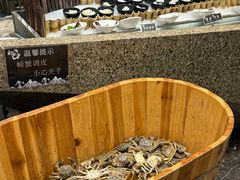 -初色海鲜自助(万丰路店)