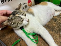 -老丘丘(较场口店)