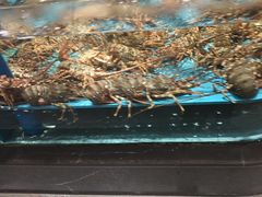 -阿伟海鲜楼·福建菜(延寿店)