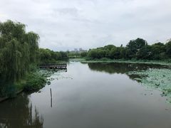 -新江湾城公园