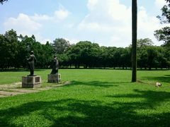 android_upload_pic-中山大学学者灵芝(园南路店)