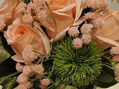 -双井轩(双井店)