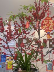 -深圳鹏爱秀琪医疗美容医院