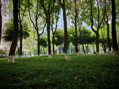 -重庆市江北嘴中央商务区中央公园