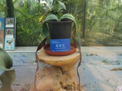 -国家植物园南园