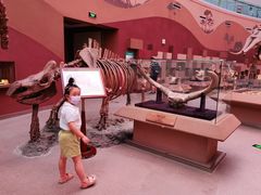-陕西自然博物馆