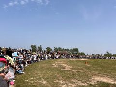 -盐城丹顶鹤湿地生态旅游区