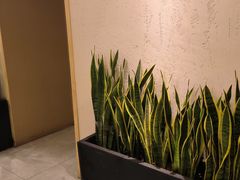 -荷花亭·湖北融合菜(中商广场店)