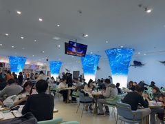 -深海中餐厅(国家海洋博物馆店)