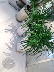 -罗亚帝造型·烫发染发