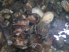 -阔澜蒸汽海鲜自助
