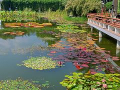 -国家植物园南园