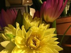 -春暖花开(西溪店)