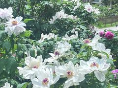 -江南大学(蠡湖校区)