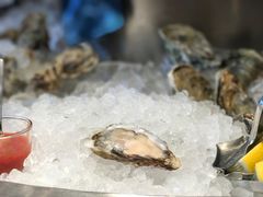 -Oyster Talks 四度蚝法餐厅