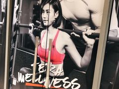 -一兆韦德健身