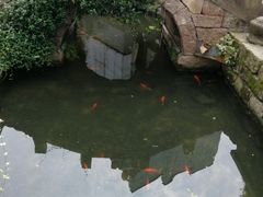 -黎阳老街