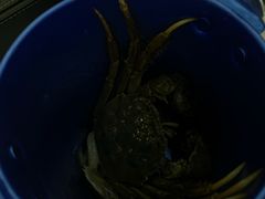 -澜悦港海鲜体验主题餐厅