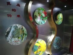 -上海昆虫博物馆