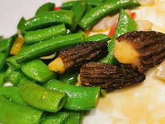 碧绿酿炒羊肚菌-童福兴·南京菜(老门东店)