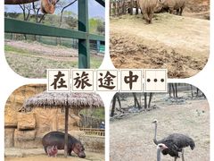 -沈阳森林动物园