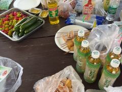 -尚庄度假村·庭台树下·户外烧烤·团建CS·轰趴营地(上庄水库店)