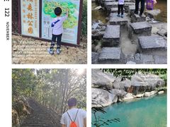 -广州白江湖森林公园