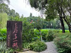 -桂湖森林公园