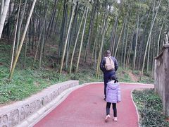 -紫金山山顶公园