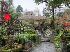 -青城甲(青城山店)