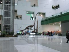 二楼大厅&nbsp;恐龙-中国科学技术馆影院