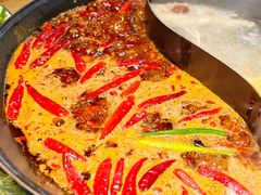 -阳阳老火锅(小南门店)