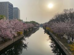 -元大都城垣遗址公园