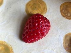 -春风十里咖啡馆