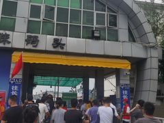 -鱼珠码头(轮渡站)
