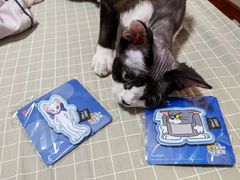 -御宝贝·A梦猫科宠物医院(国际猫友好医院)