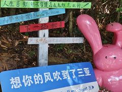 -亚龙湾热带天堂森林公园