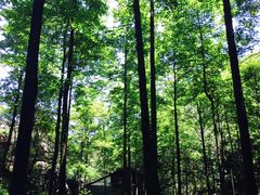 -梦幻奥陶纪景区