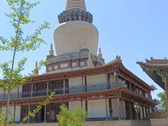 -张掖大佛寺景区