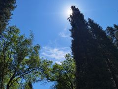 -新疆那拉提国家旅游度假区