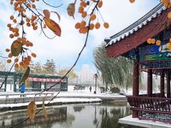 -西海子公园